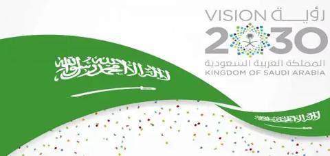 مقال عن رؤية 2030 في السعودية | المحاور